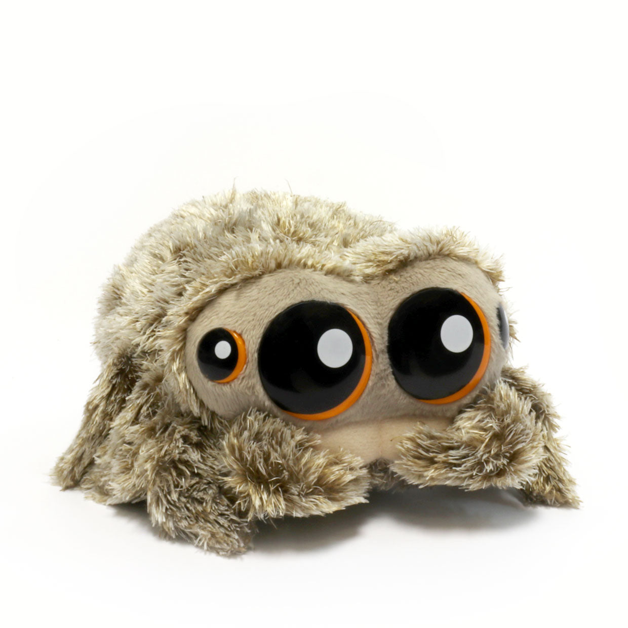 LucastheSpiderPlushie, Lucas the Spider Plushie, LucastheSpider Toys, Lucas the Spider Store, Authentic Lucas the Spider, Lucas the Spider Snuggle Edition, Lucas the Spider, Cute Spider, Lucas the Spider Soft Toy, Official Lucas the Spider Store,